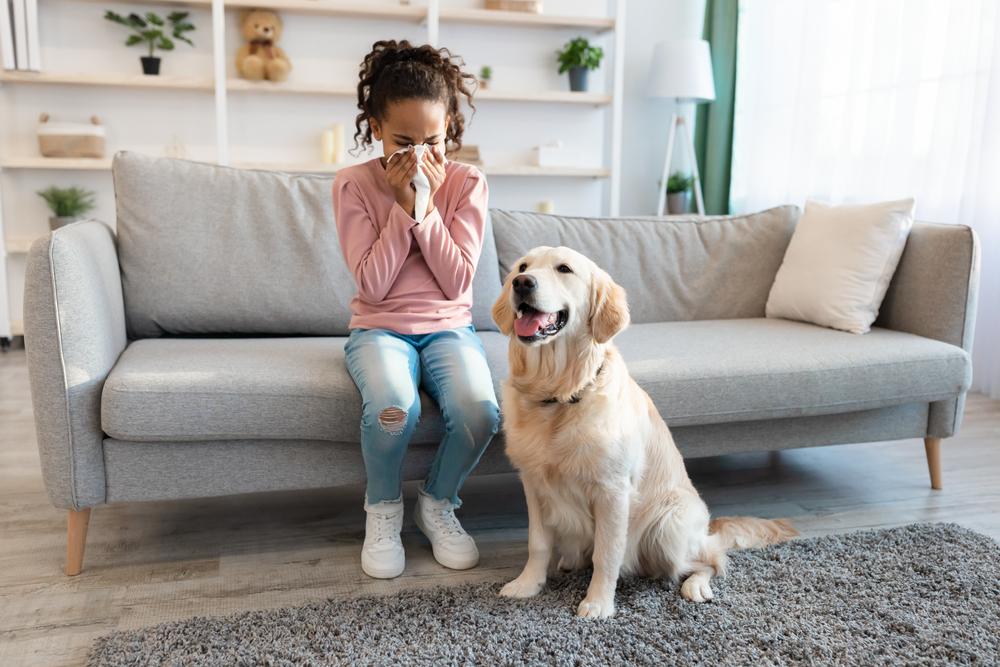 pet allergy treatment
